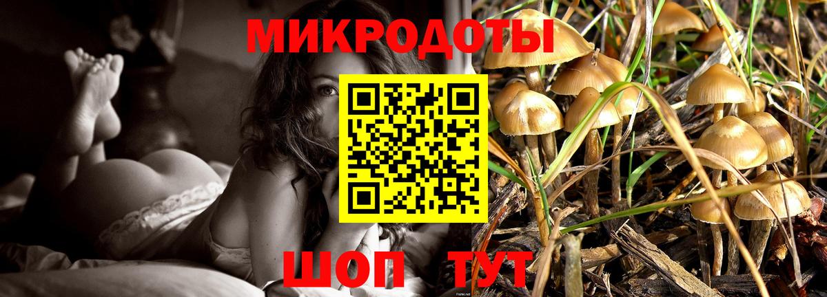 Биробиджан  Галлюциногенные грибы ЛСД  Галлюциногенные грибы ЛСД  Вход с VPN 
